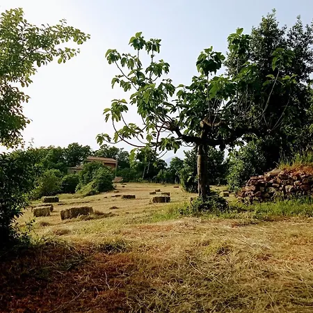 Il Casino Di Donna Maria (adults Only)