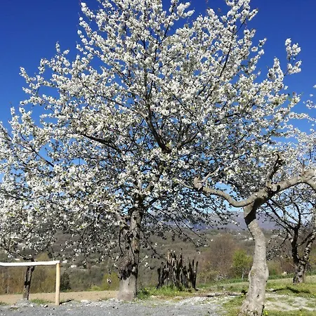 فندق مبيت وإفطار Il Casino Di Donna Maria (adults Only)