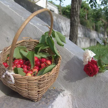 Il Casino Di Donna Maria Bed & Breakfast