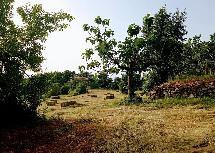 Il Casino Di Donna Maria (adults Only)