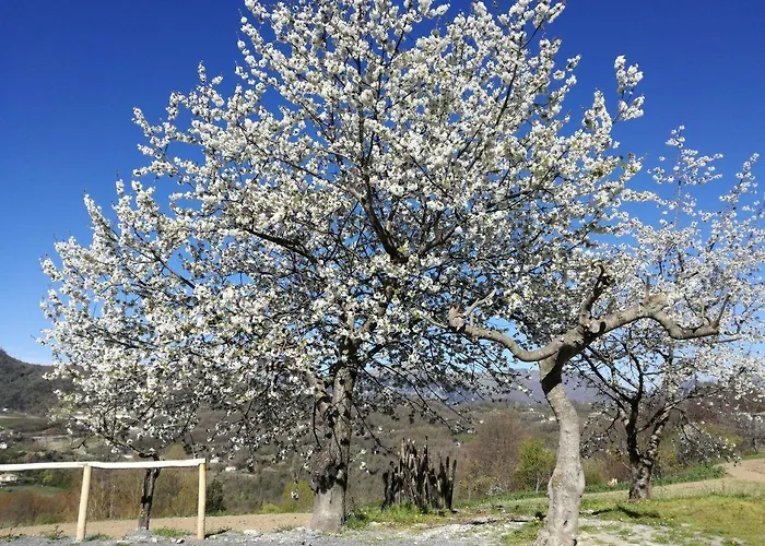 לינה וארוחת בוקר Il Casino Di Donna Maria (adults Only)