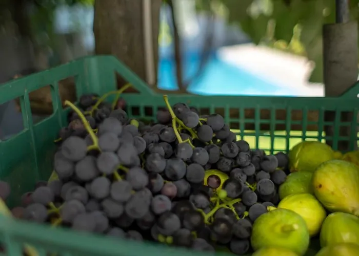 לינה וארוחת בוקר Il Casino Di Donna Maria (adults Only)